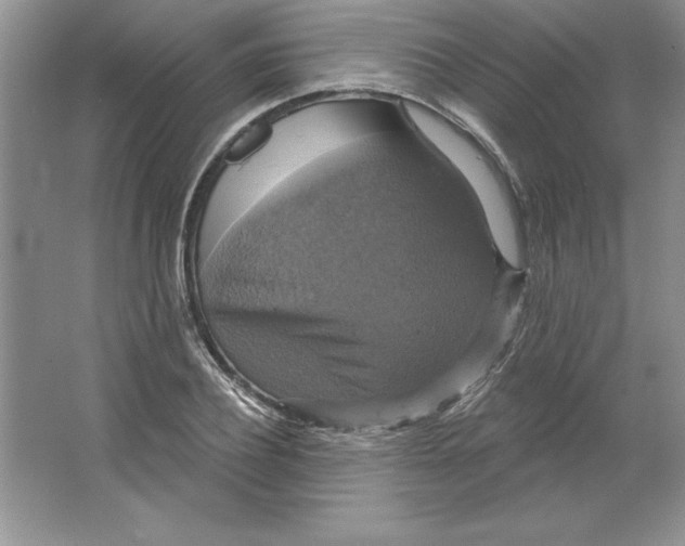 X0000064740932200603031704