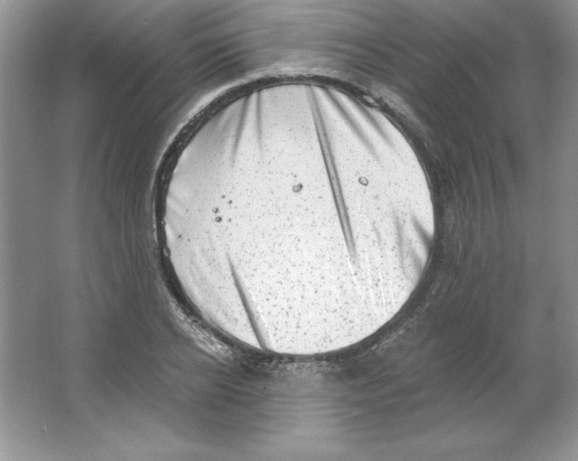 X0000064740934200603031704