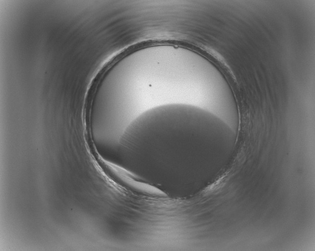 X0000064740935200603031704