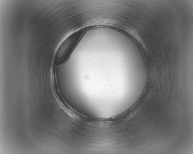 X0000064740936200603031704