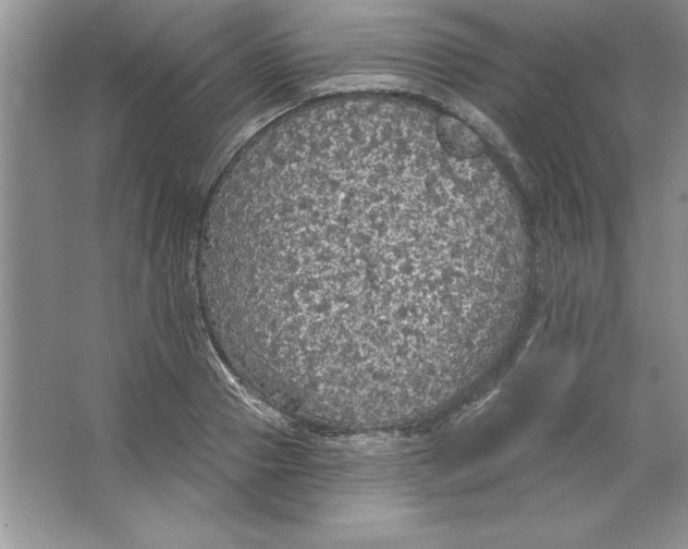 X0000064740937200603031704