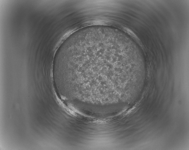 X0000064740938200603031704