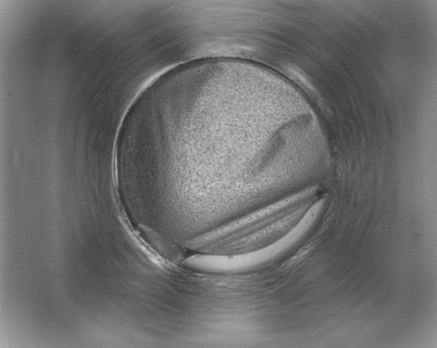 X0000064740940200603031704