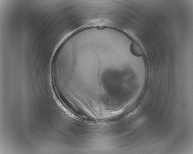 X0000064740941200603031704