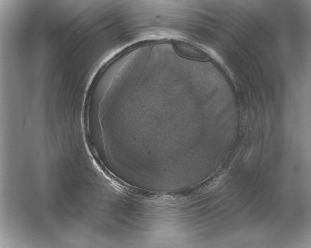 X0000064740943200603031704