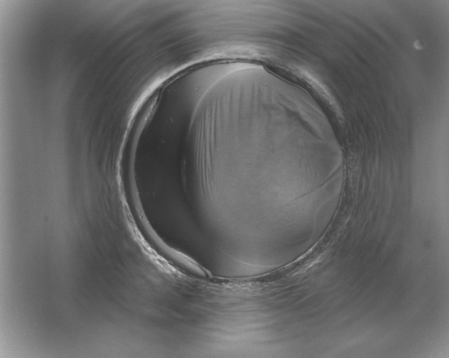 X0000064740944200603031704