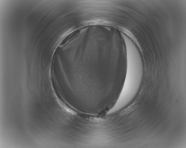 X0000064740946200603031704