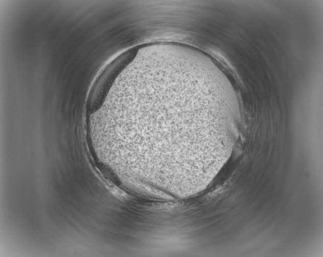 X0000064740948200603031704