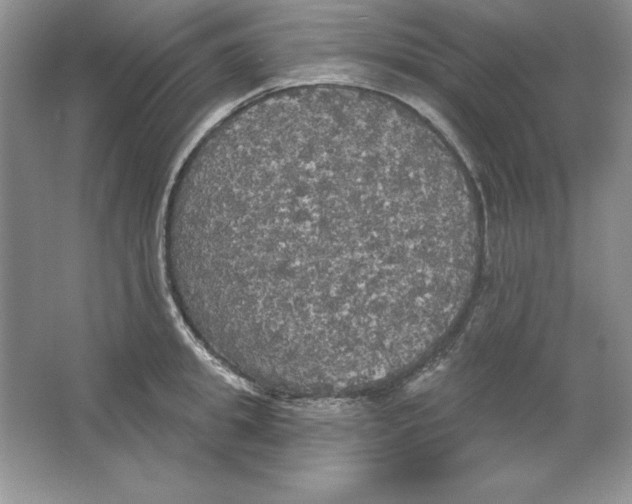 X0000064740949200603031704