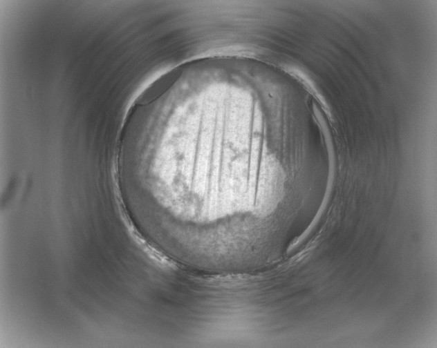 X0000064740952200603031704