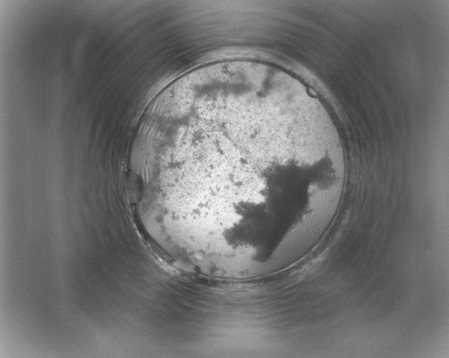 X0000064740953200603031704