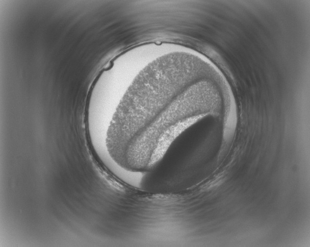 X0000064740954200603031704