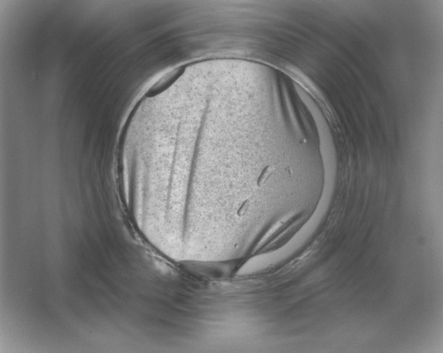 X0000064740956200603031704