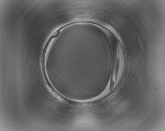 X0000064740958200603031704