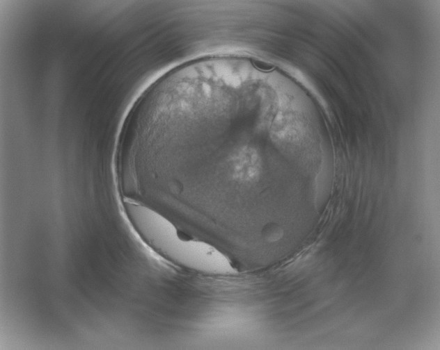 X0000064740959200603031704