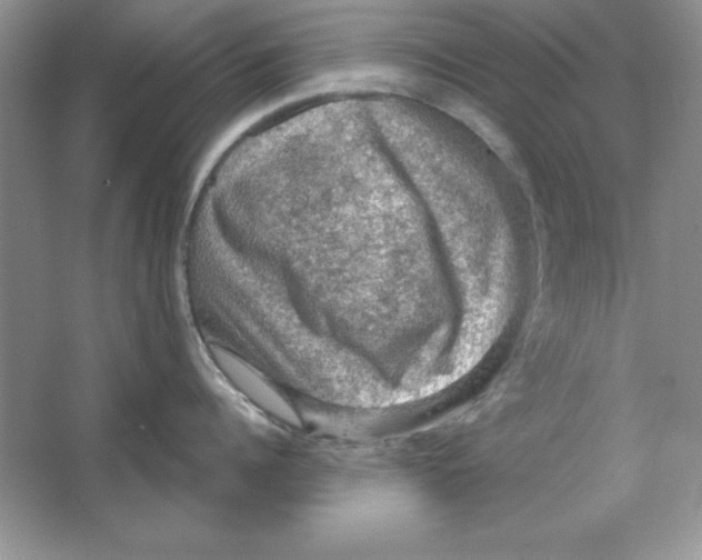 X0000064740960200603031704