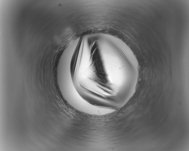 X0000064740961200603031703