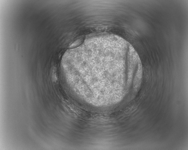 X0000064740962200603031703