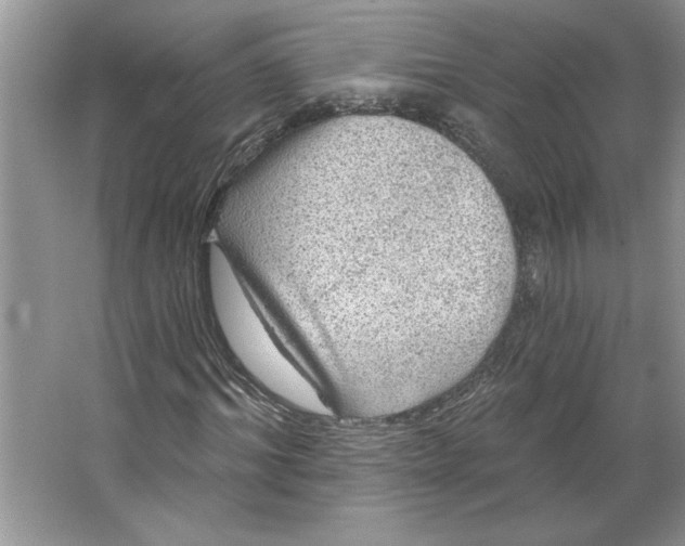 X0000064740964200603031703