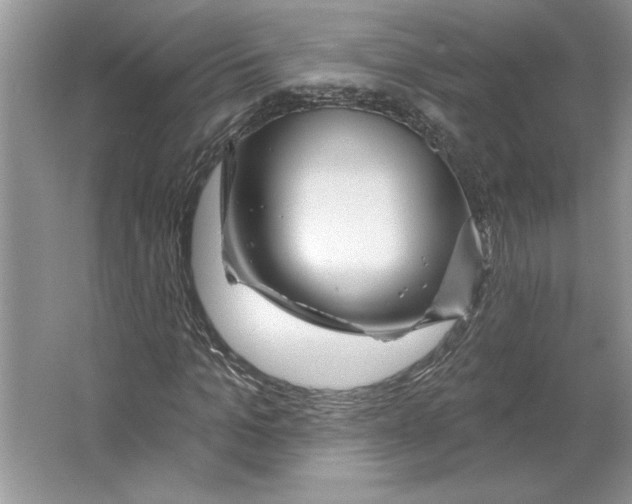 X0000064740965200603031703