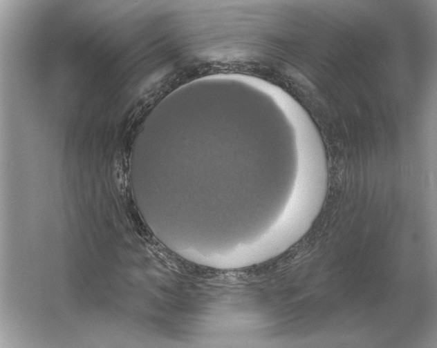 X0000064740966200603031703