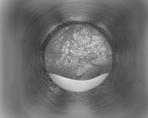 X0000064740968200603031703