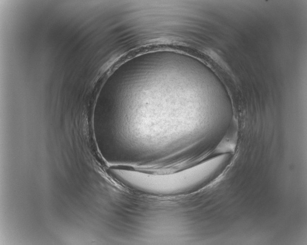 X0000064740969200603031703