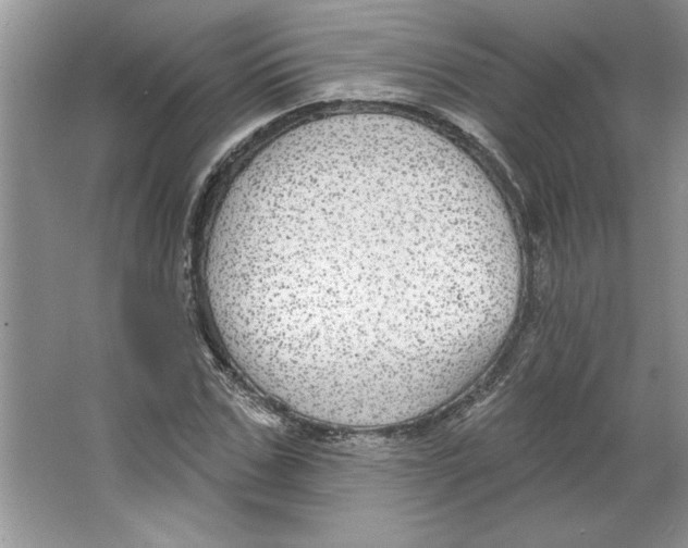 X0000064740971200603031703