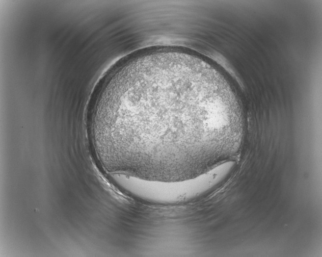 X0000064740972200603031703