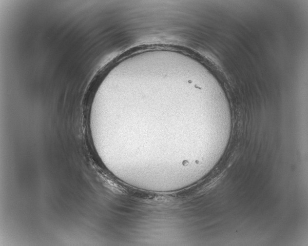 X0000064740974200603031703