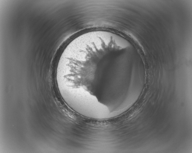 X0000064740975200603031703