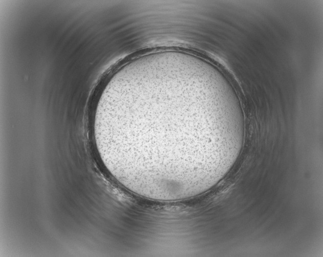 X0000064740979200603031703