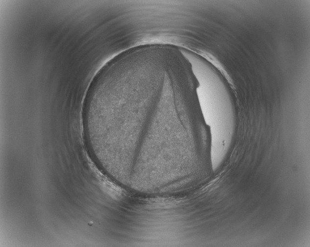 X0000064740980200603031703