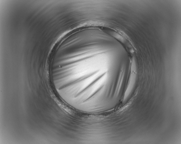 X0000064740981200603031703