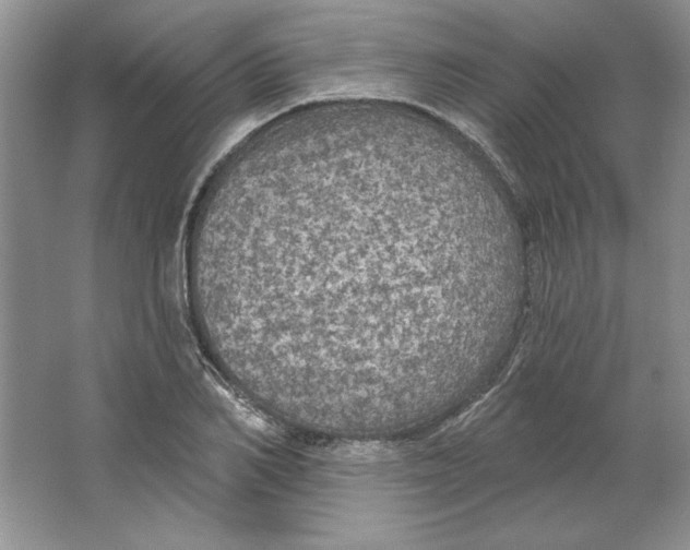 X0000064740982200603031703