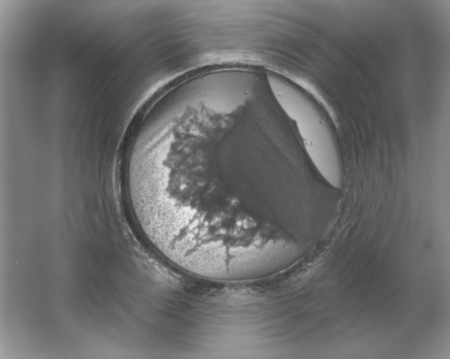 X0000064740983200603031703