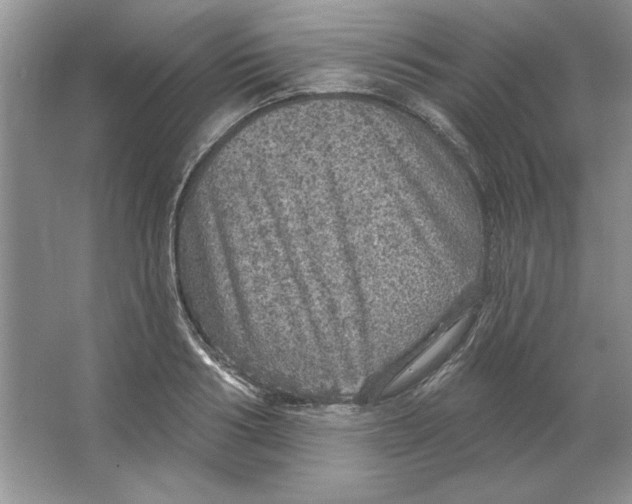 X0000064740986200603031703