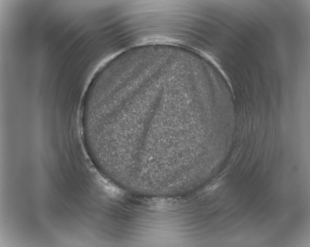 X0000064740987200603031703