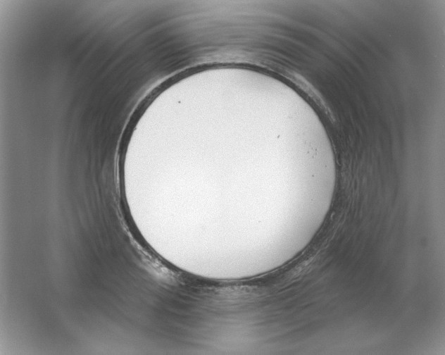 X0000064740988200603031703