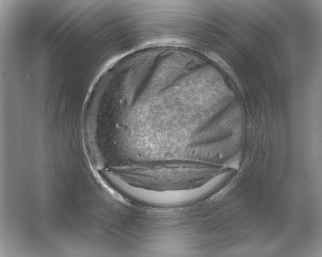 X0000064740989200603031703