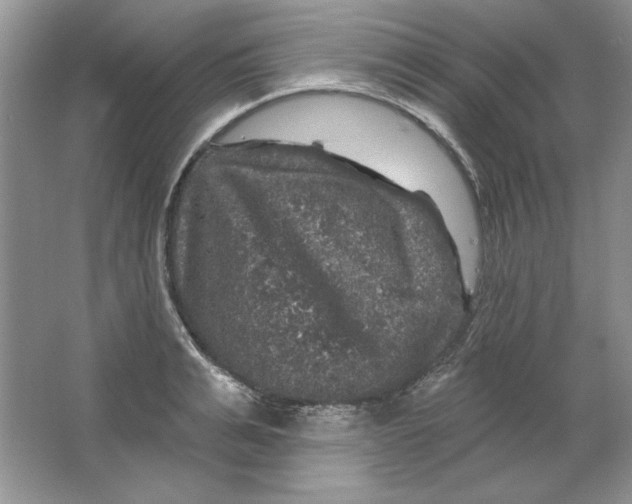 X0000064740991200603031703