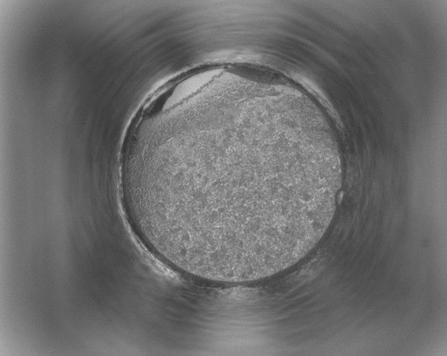 X0000064740992200603031703