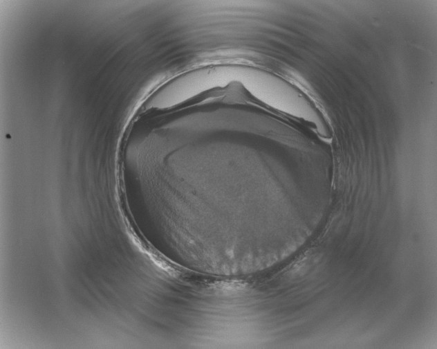 X0000064740994200603031703