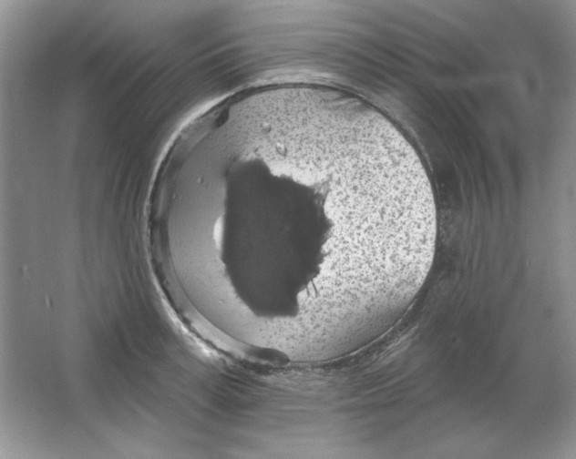 X0000064740995200603031703