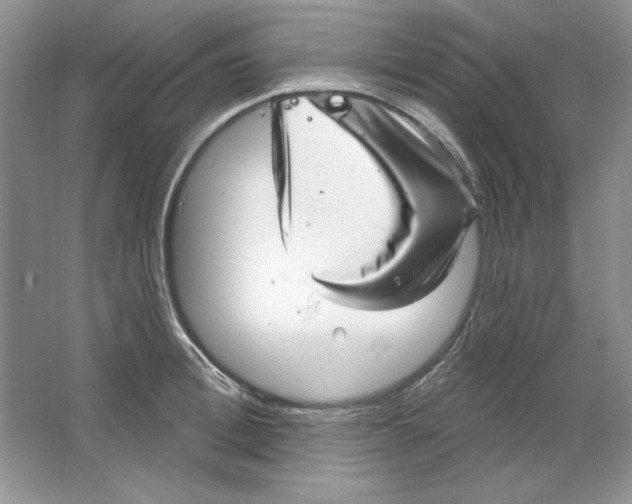 X0000064740996200603031703