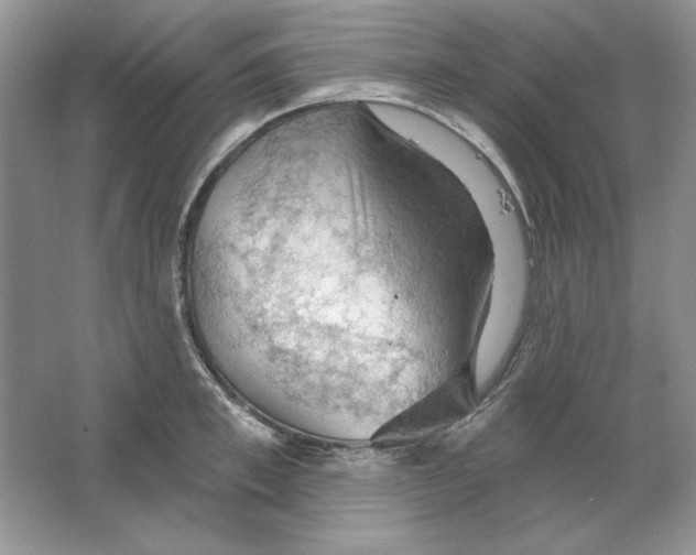 X0000064740997200603031703