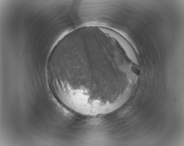 X0000064740998200603031703