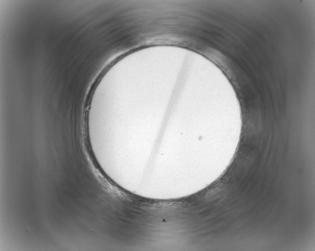 X0000064741000200603031703