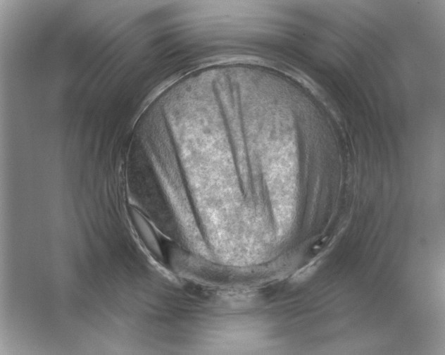 X0000064741001200603031703