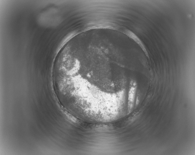 X0000064741002200603031703